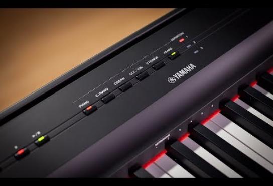 Embedded thumbnail for Yamaha P-125 Digital Piano - Full Demo with Gabriel Aldort