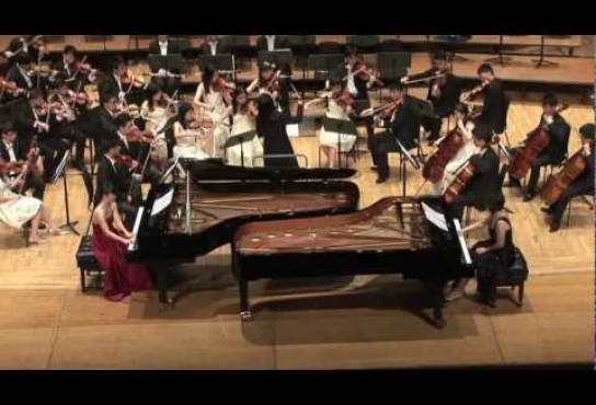 Embedded thumbnail for Saint-Saens: Carnival of the Animals (Part II) performed by Millennium Youth Orchestra